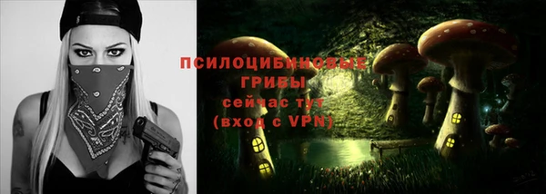 таблы Елабуга