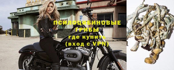 а пвп мука Елизово