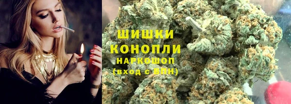 прущие грибы Калач