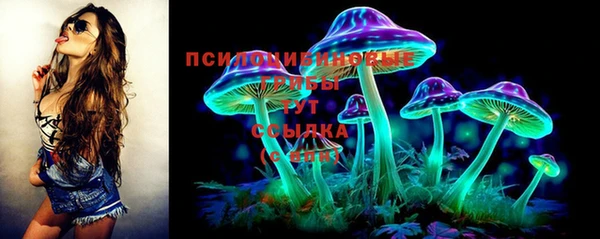 а пвп мука Елизово