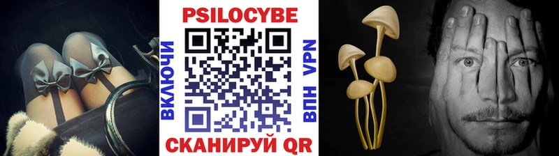 хочу наркоту  OMG как войти  Галлюциногенные грибы Psilocybine cubensis  Камень-на-Оби 