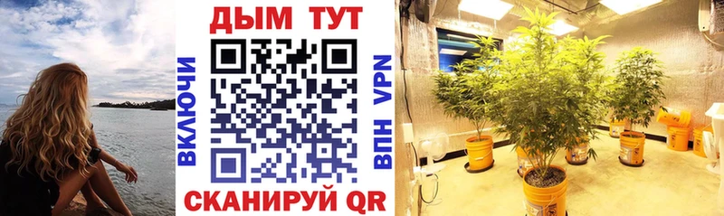 Канабис LSD WEED  где купить   Камень-на-Оби 